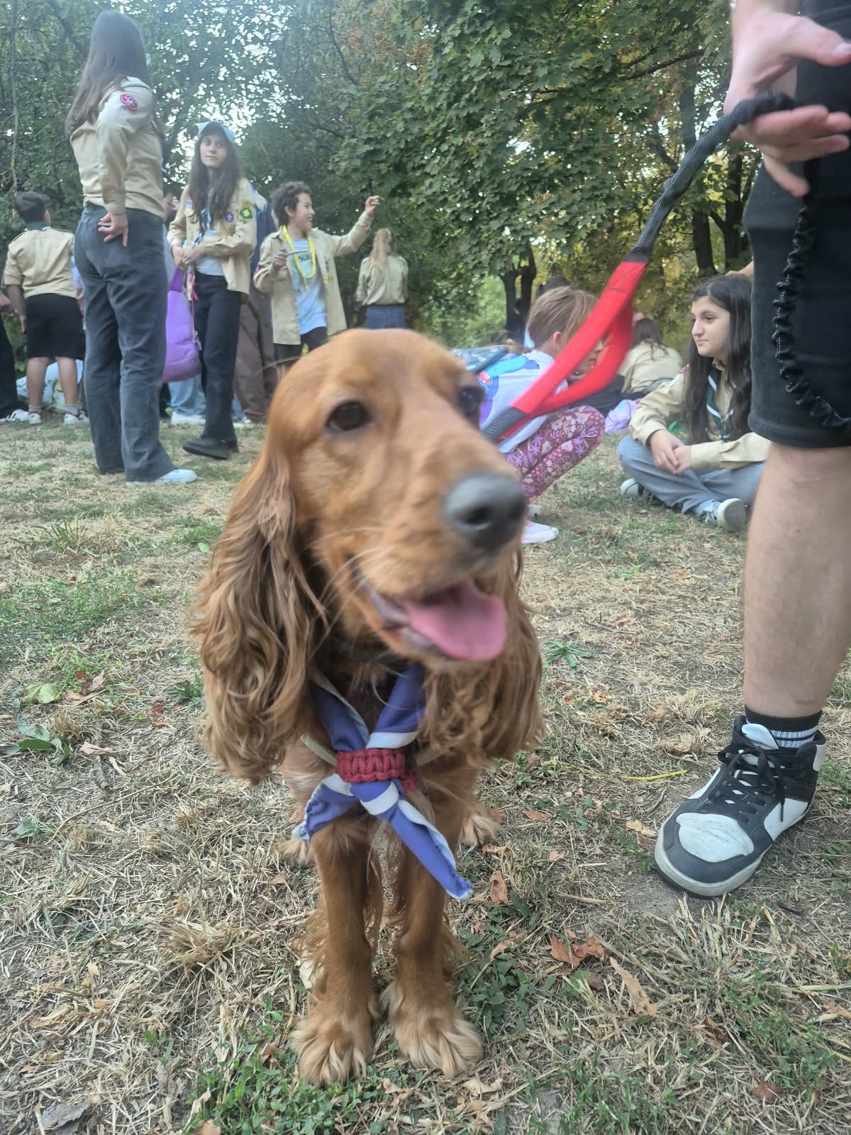 Deschiderea Anului Cercetășesc - Festivalul Luminii 2026 - Foto 9